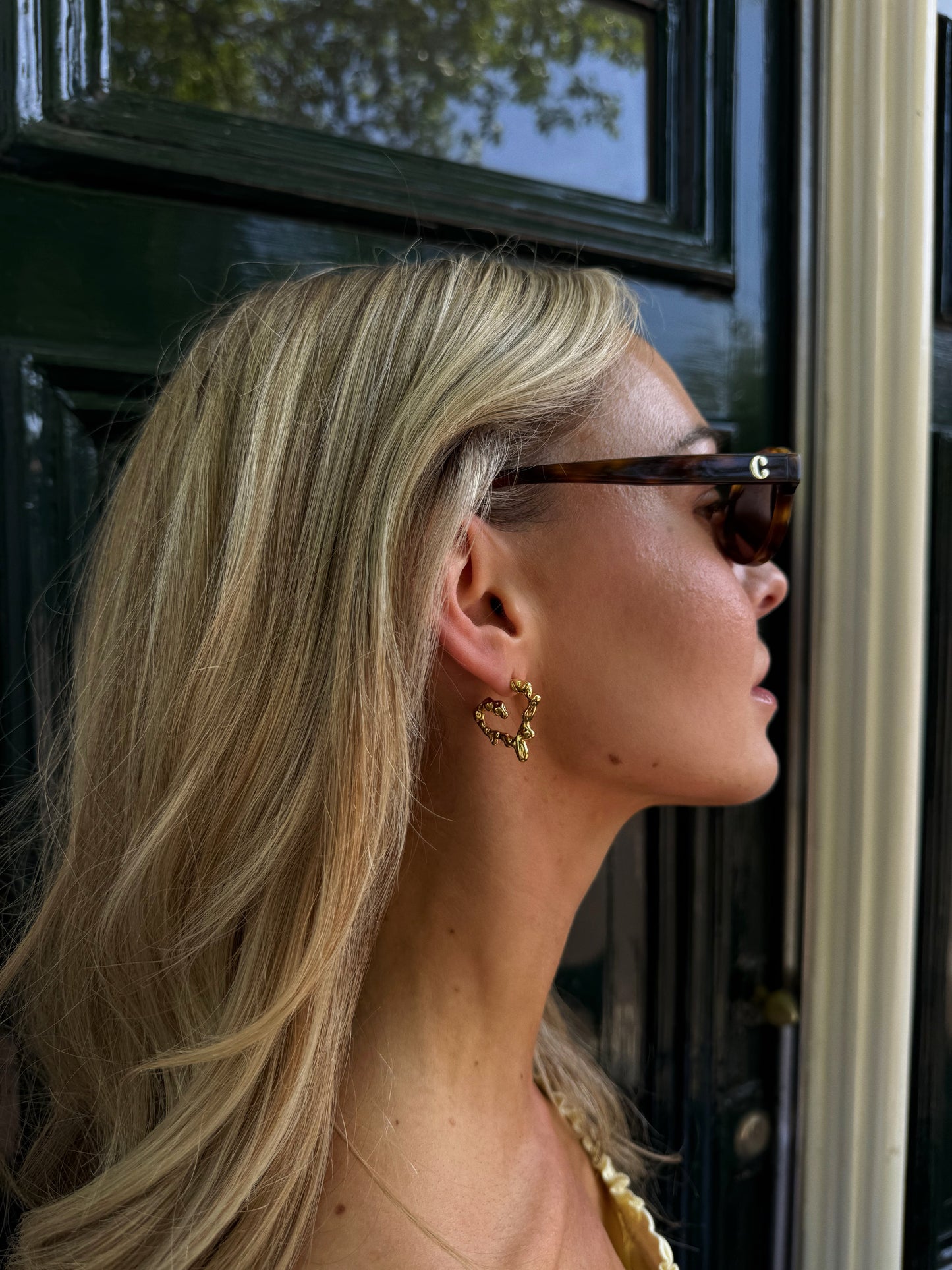Heart Earrings